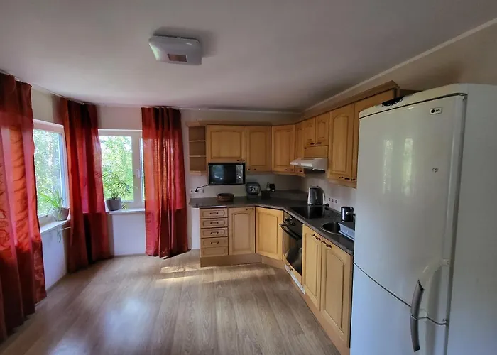 Viva Nomme Ταλίν